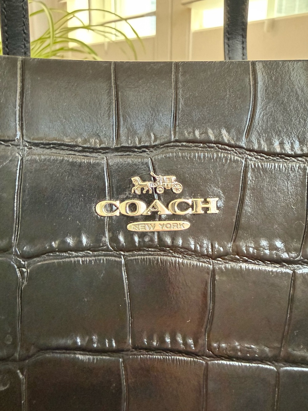 COACH Black Croc Mollie Tote Bag 25 | Style CW017 - Picture 11 of 12